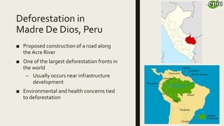 Deforestation in
Madre De Dios, Peru
■ Proposed construction of a road along
the Acre River
■ One of the largest deforestation fronts in
the world
– Usually occurs near infrastructure
development
■ Environmental and health concerns tied
to deforestation
 