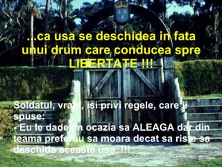 Soldatul, vrajit, isi privi regele, care ii spuse: - Eu le dadeam ocazia sa ALEAGA dar din teama preferau sa moara decat sa riste sa deschida aceasta usa. !!! ...ca usa se deschidea in fata unui drum care conducea spre LIBERTATE !!! 