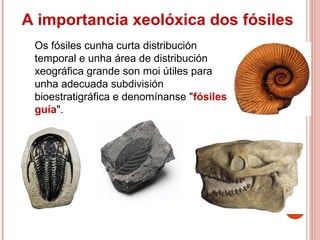 Os fósiles cunha curta distribución
temporal e unha área de distribución
xeográfica grande son moi útiles para
unha adecuada subdivisión
bioestratigráfica e denomínanse "fósiles
guía".
A importancia xeolóxica dos fósiles
 