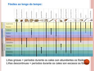 Fósiles ao longo do tempo::
Líñas grosas = períodos durante os cales son abundantes os fósiles
Líñas descontinuas = períodos durante os cales son escasos os fósiles
 