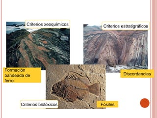Criterios xeoquímicos
Criterios biolóxicos
Criterios estratigráficos
Formación
bandeada de
ferro
Fósiles
Discordancias
 