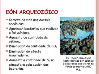 EÓN ARQUEOZÓICO
 Comezo da vida nas dorsais
oceánicas.
 Aparecen bacterias que realizan
a fotosíntese.
 Aumento da cantidade de
osíxeno.
 Diminución da cantidade de CO2
 Diminución do efecto
invernadoiro.
 Aumenta a cantidade de N2 na
atmosfera pola acción das
bacterias.
ESTROMATOLITOS:
Resto deixado por colonias
de bacterias que viviron no
fondo do mar fai 3450
M.a.
 