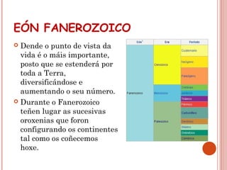 EÓN FANEROZOICO
 Dende o punto de vista da
vida é o máis importante,
posto que se estenderá por
toda a Terra,
diversificándose e
aumentando o seu número.
 Durante o Fanerozoico
teñen lugar as sucesivas
oroxenias que foron
configurando os continentes
tal como os coñecemos
hoxe.
 