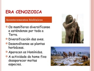 ERA CENOZOICA
 Os mamíferos diversifícanse
e esténdense por toda a
Terra.
 Diversificación das aves.
 Desenvólvense as plantas
herbáceas.
 Aparecen os Homínidos.
 A actividade do home fixo
desaparecer moitas
especies.
Acontecementos biolóxicos
 