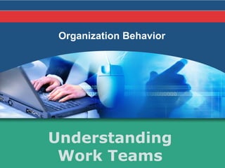 Organization Behavior




Understanding
 Work Teams
 