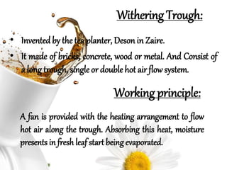 Tea Heating Process Tea manufacturing & processing for non orthodox tea | PPTX