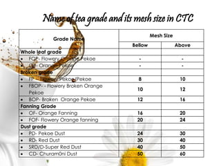 Tea manufacturing & processing for non orthodox tea | PPTX