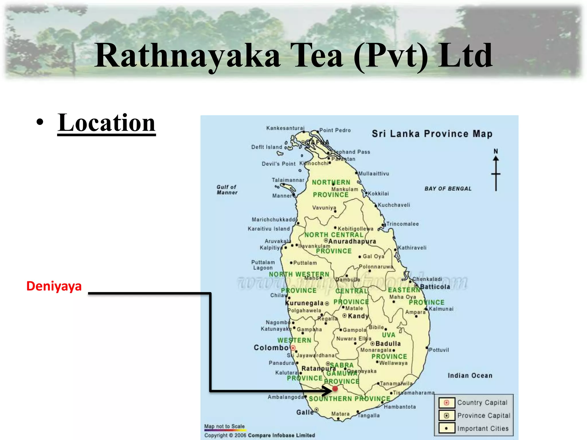Tea manufacturing process part 1 | PPTX