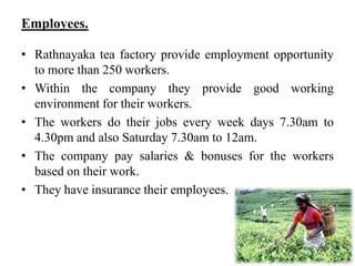 Employees.

• Rathnayaka tea factory provide employment opportunity
  to more than 250 workers.
• Within the company they provide good working
  environment for their workers.
• The workers do their jobs every week days 7.30am to
  4.30pm and also Saturday 7.30am to 12am.
• The company pay salaries & bonuses for the workers
  based on their work.
• They have insurance their employees.
 