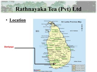 Rathnayaka Tea (Pvt) Ltd
 • Location




Deniyaya
 