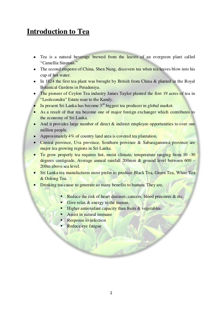 Tea manufacturing process part 1