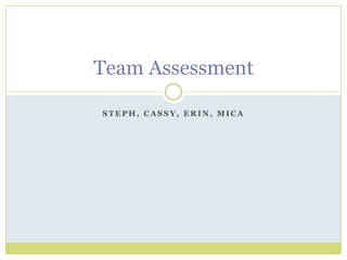 Steph, Cassy, Erin, Mica Team Assessment 