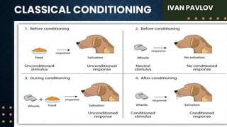 CLASSICAL CONDITIONING IVAN PAVLOV
 