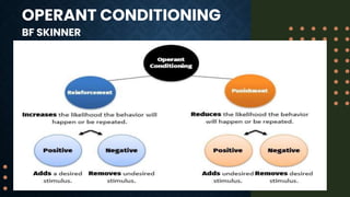 OPERANT CONDITIONING
BF SKINNER
 