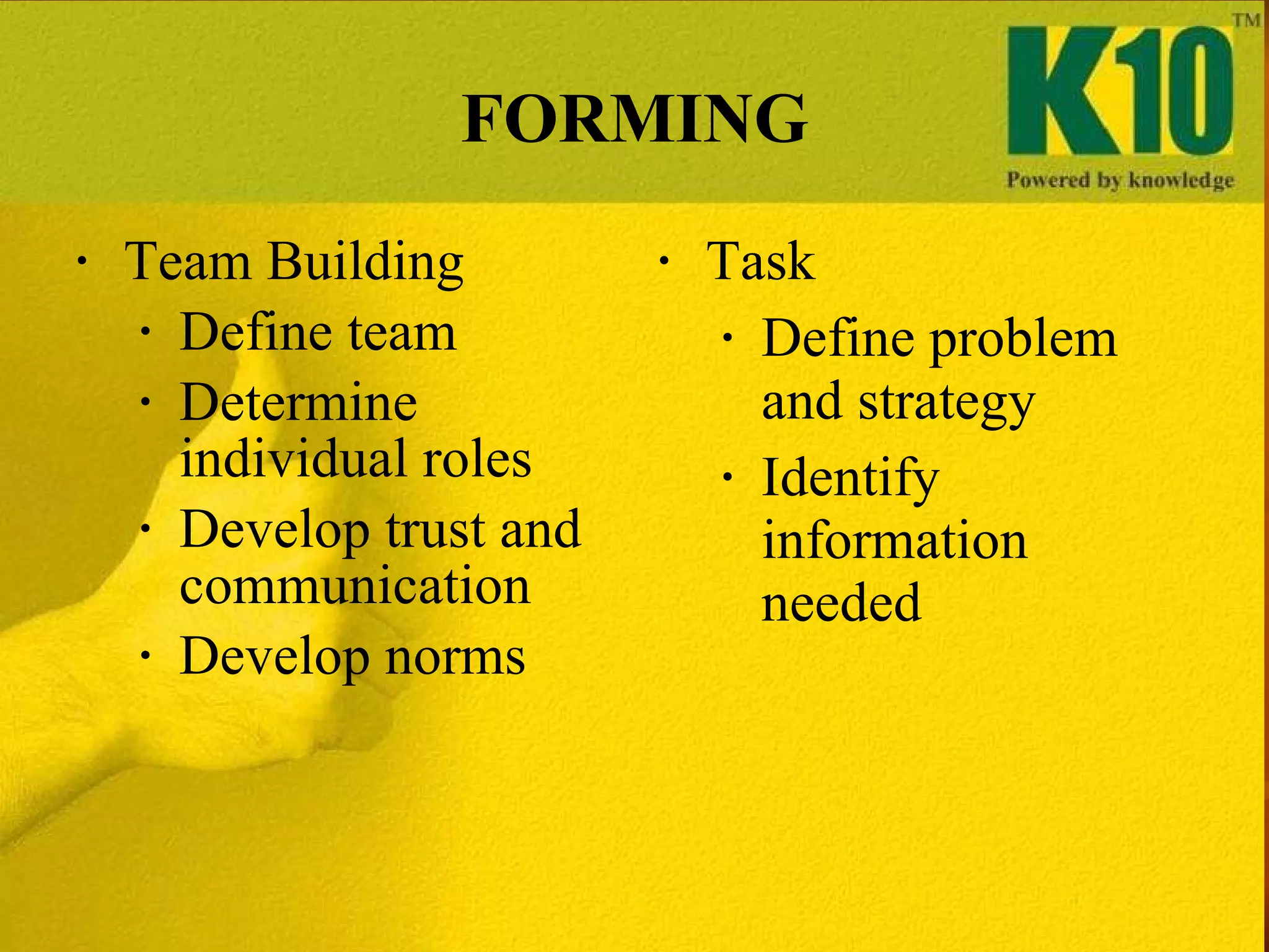 FORMING Team Building  Define team Determine individual roles Develop trust and communication Develop norms Task Define problem and strategy Identify information needed 