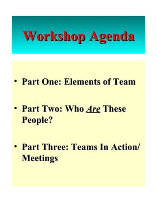 Workshop   Agenda Part One: Elements of Team Part Two: Who  Are  These People? Part Three: Teams In Action/Meetings 