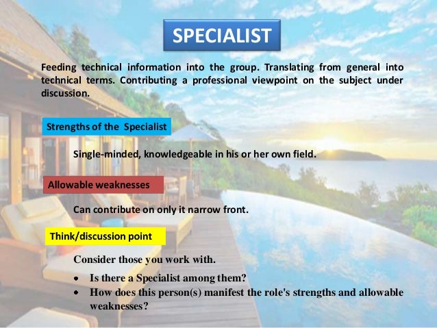 Teambuilding meredith belbin framework and application essay 08 picture