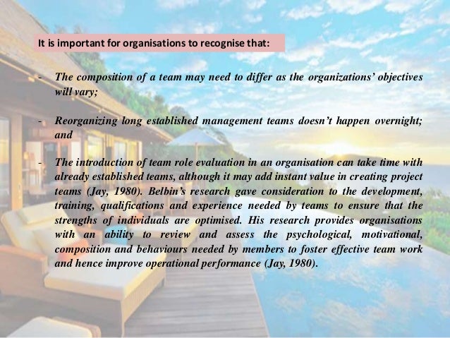 Meredith belbin team roles theory picture