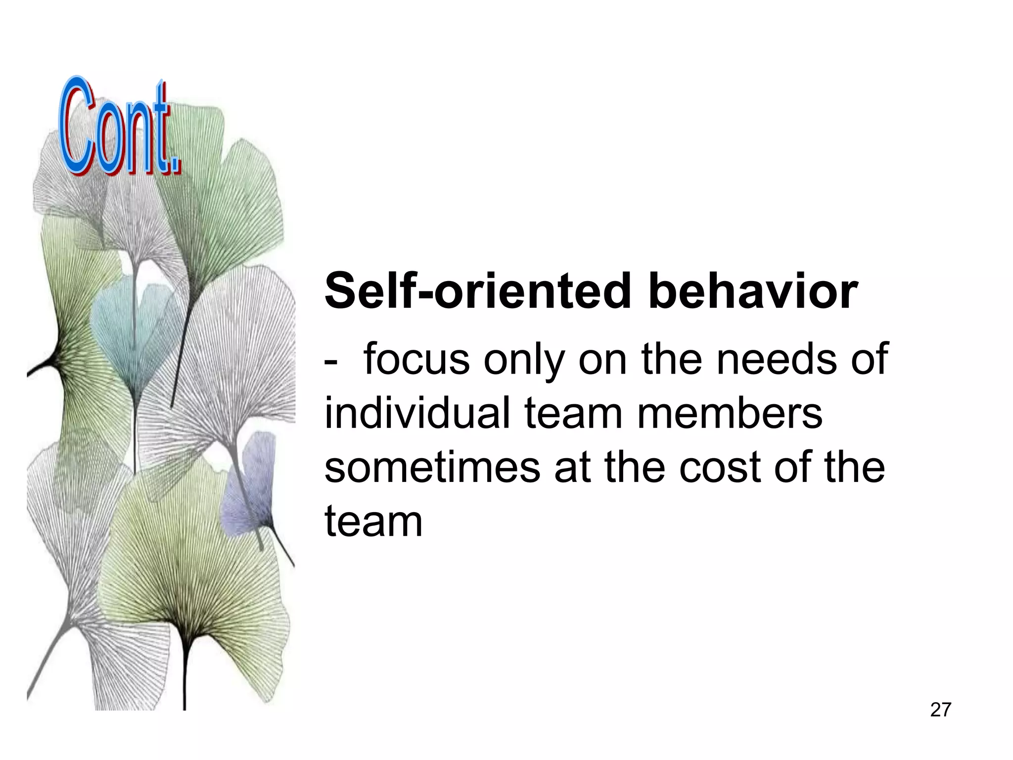 27
Self-oriented behavior
- focus only on the needs of
individual team members
sometimes at the cost of the
team
 