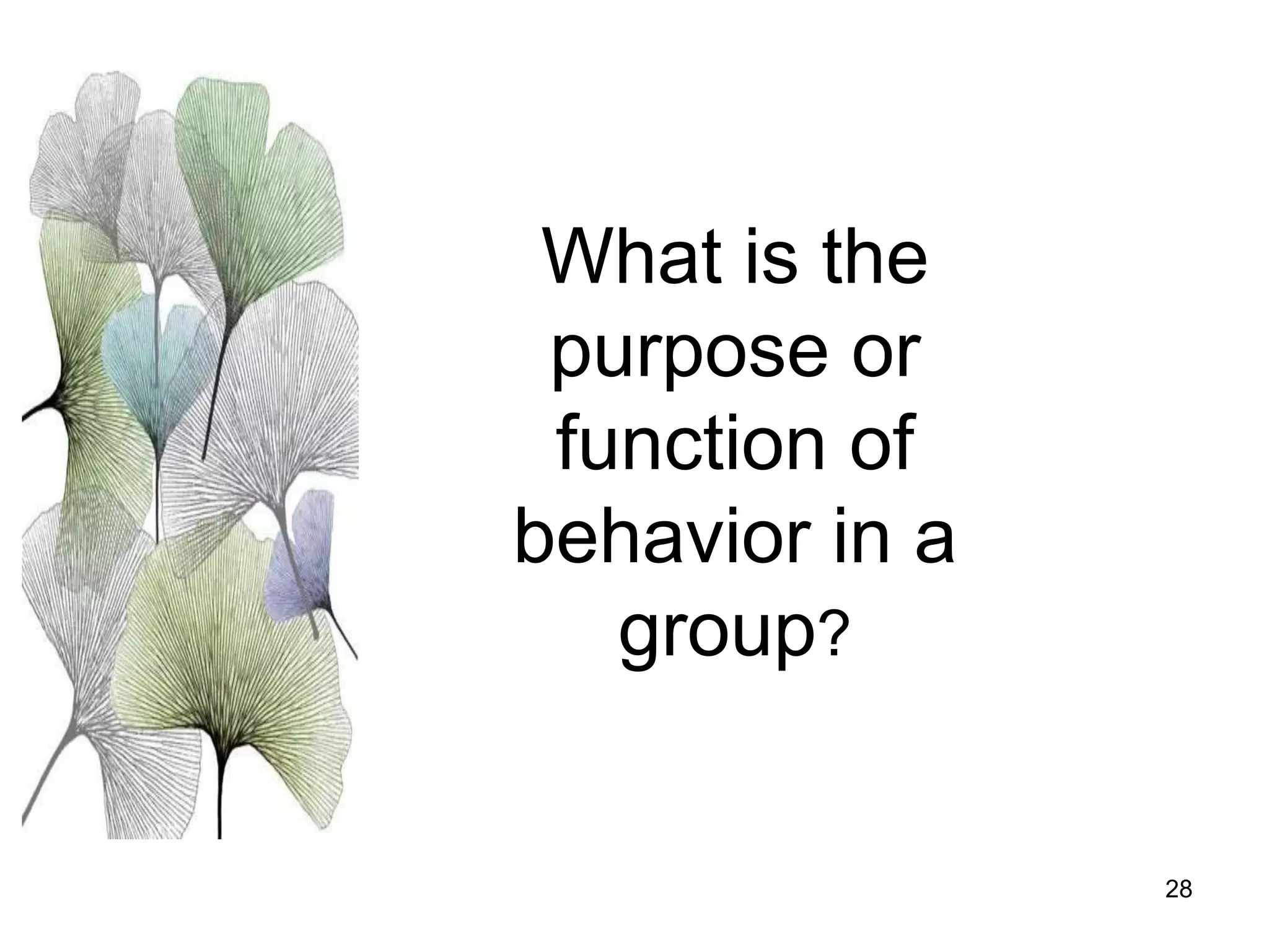 28
What is the
purpose or
function of
behavior in a
group?
 