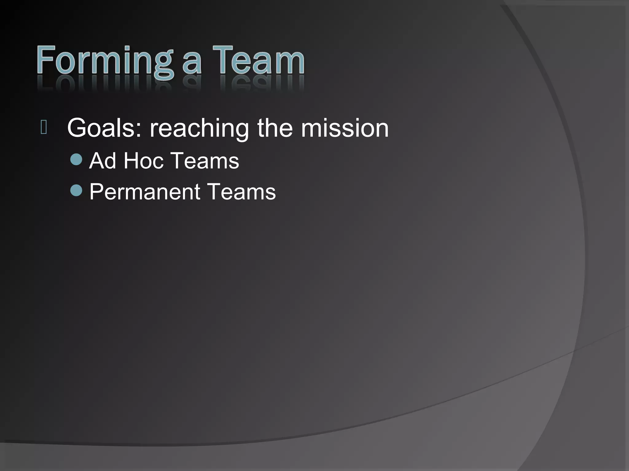 

Goals: reaching the mission
Ad Hoc Teams
Permanent Teams

 