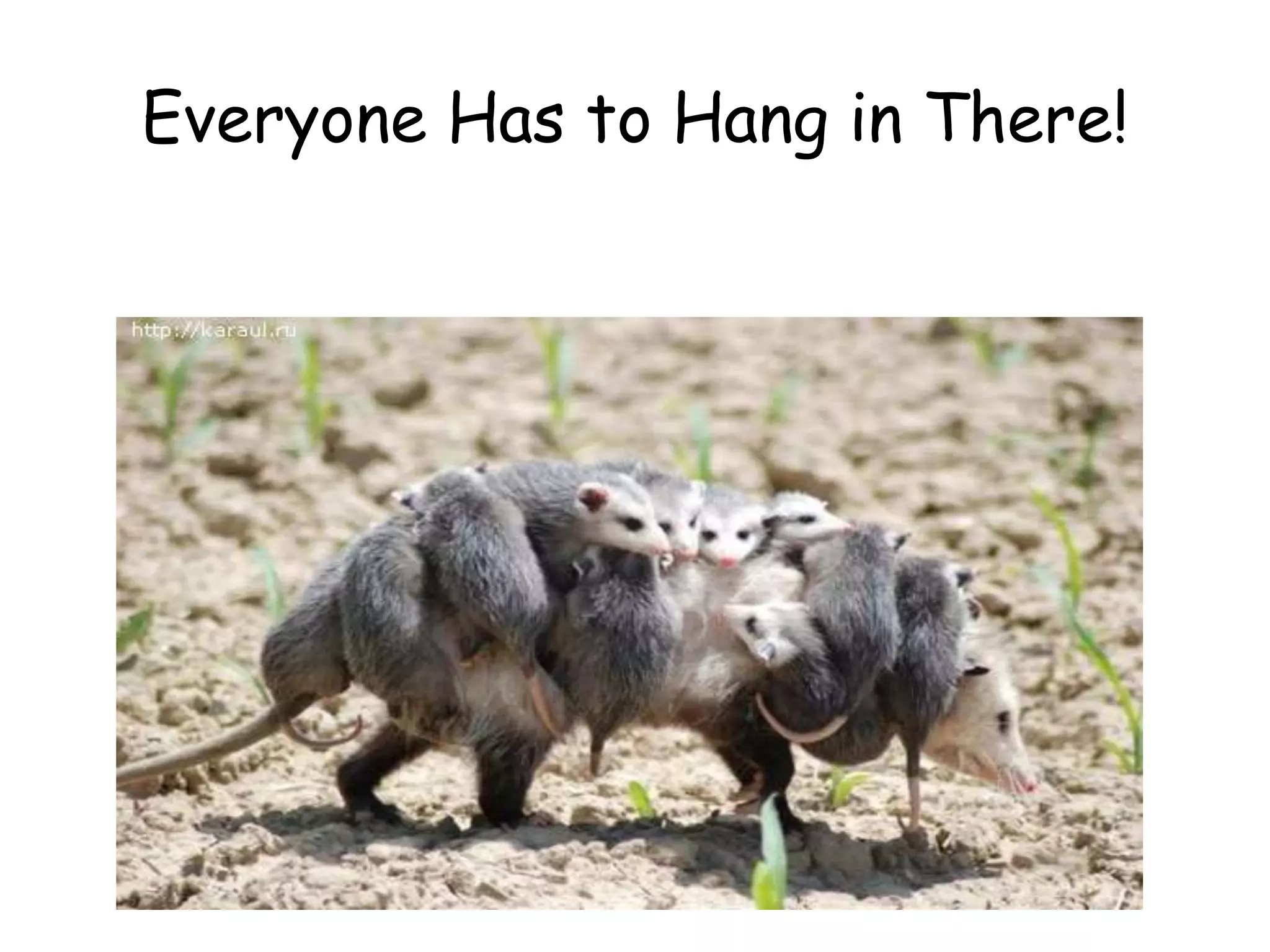 Everyone Has to Hang in There!
 