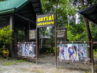 Team Building for Corporate and Groups 
