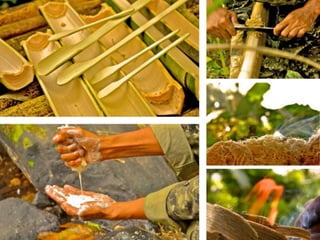 Team Building for Corporate and Groups 