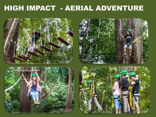 HIGH IMPACT - AERIAL ADVENTURE
 