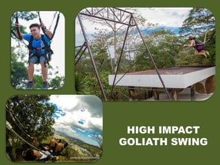 HIGH IMPACT
GOLIATH SWING
 