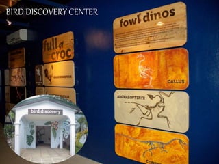 BIRD DISCOVERY CENTER
 