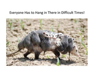 Everyone Has to Hang in There in Difficult Times!
Everyone Has to Hang in There in Difficult Times!

 