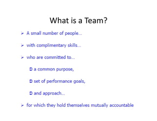 What is a Team?
What is a Team?

 