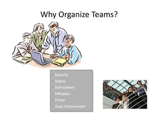 Why Organize Teams? 

 