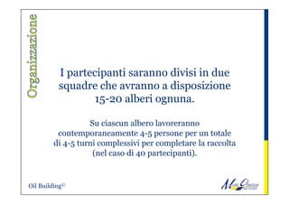 I partecipanti saranno divisi in due
squadre che avranno a disposizione
15-20 alberi ognuna.
Su ciascun albero lavoreranno
contemporaneamente 4-5 persone per un totale
di 4-5 turni complessivi per completare la raccolta
(nel caso di 40 partecipanti).
Oil Building©
 
