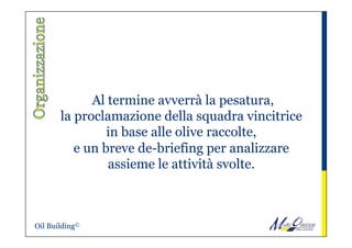  Al termine avverrà la pesatura,
la proclamazione della squadra vincitrice
in base alle olive raccolte,
e un breve de-briefing per analizzare
assieme le attività svolte.
Oil Building©
 