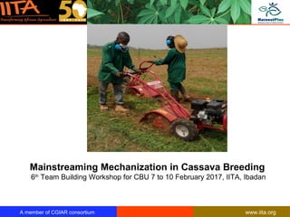 A member of CGIAR consortium www.iita.org
Nigeria
Mainstreaming Mechanization in Cassava Breeding
6th
Team Building Workshop for CBU 7 to 10 February 2017, IITA, Ibadan
 