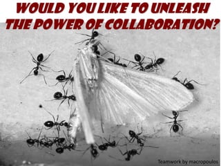 Would you like to unleash the power of collaboration? Teamwork by macropoulos 