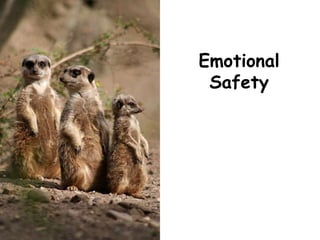 Emotional
Safety
 