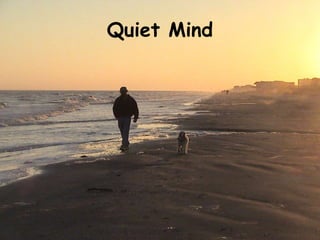 Quiet Mind
 