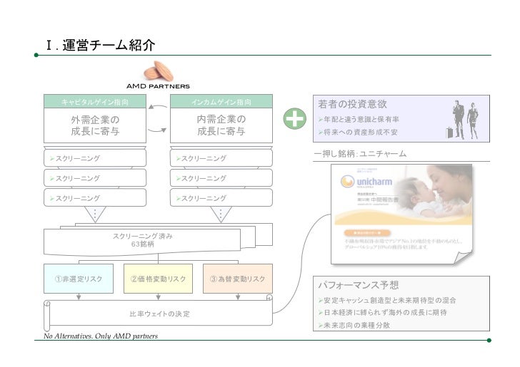 AMD partners Inc. presentation
