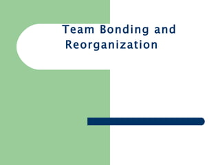 Team Bonding and Reorganization 