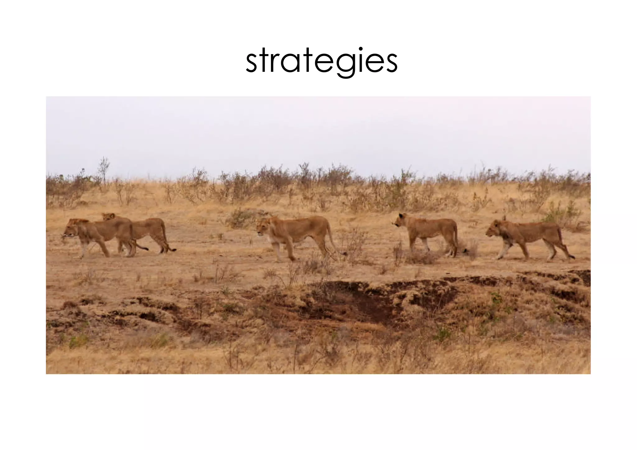 strategies