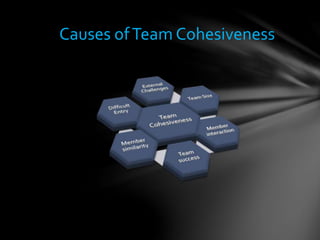 Causes ofTeam Cohesiveness
 