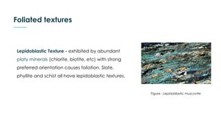 Foliated textures
Lepidoblastic Texture - exhibited by abundant
platy minerals (chlorite, biotite, etc) with strong
preferred orientation causes foliation. Slate,
phyllite and schist all have lepidoblastic textures.
Figure : Lepidoblastic muscovite
 