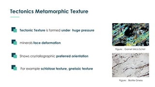Tectonics Metamorphic Texture
Shows crystallographic preferred orientation
Tectonic Texture is formed under huge pressure
For example schistose texture, gneissic texture
minerals face deformation
Figure : Garnet Mica Schist
Figure : Biotite Gneiss
 