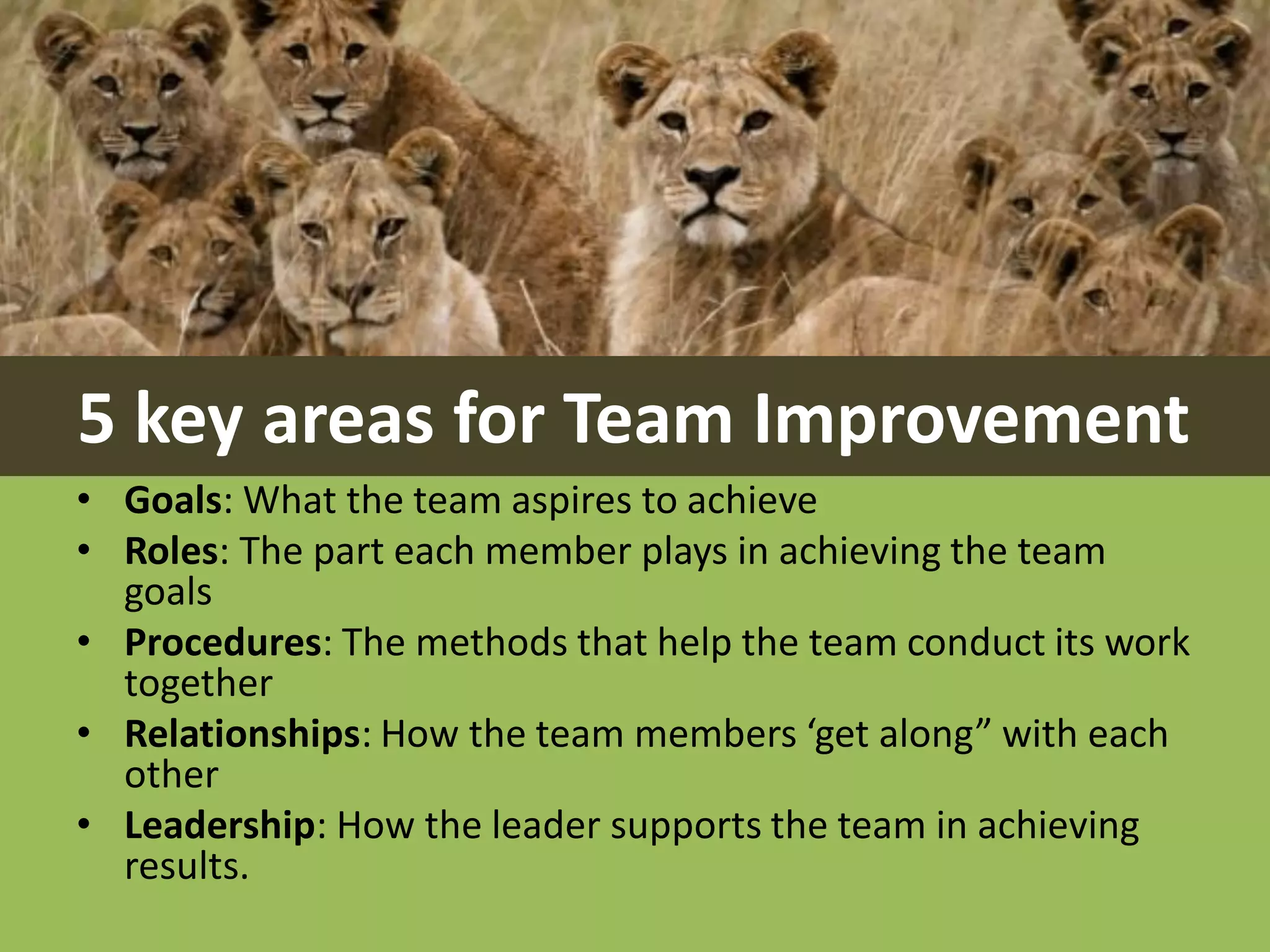 5 key areas for Team Improvement
• Goals: What the team aspires to achieve
• Roles: The part each member plays in achieving the team
goals
• Procedures: The methods that help the team conduct its work
together
• Relationships: How the team members ‘get along” with each
other
• Leadership: How the leader supports the team in achieving
results.
 