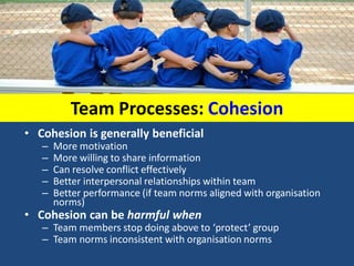 Team Effectiveness | PDF