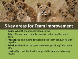 5 key areas for Team Improvement 
•Goals: What the team aspires to achieve 
•Roles: The part each member plays in achieving the team goals 
•Procedures: The methods that help the team conduct its work together 
•Relationships: How the team members ‘get along” with each other 
•Leadership: How the leader supports the team in achieving results.  
