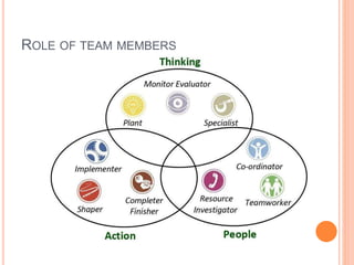 ROLE OF TEAM MEMBERS
 